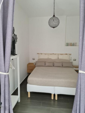 Geko Suite Toledo